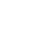 Core Cognitics tailored IT solutions for digital transformation