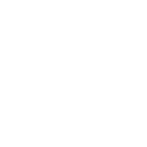 Core Cognitics enterprise-level digital product development