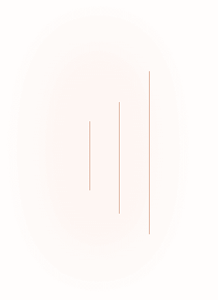 Custom Software Development